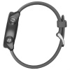 Часы для спорта Garmin Forerunner 245 Slate Gray